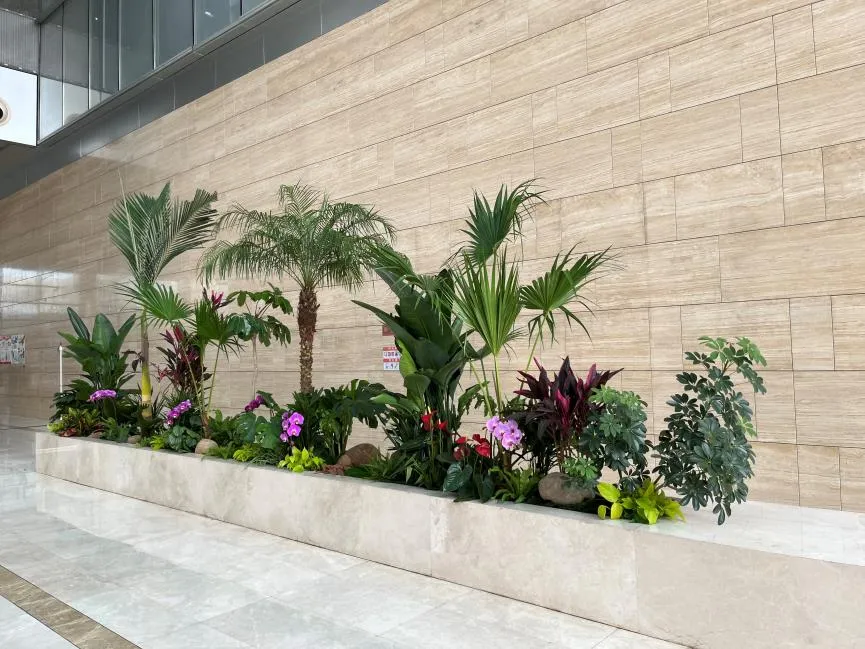 宁波鄞州植物租赁，服务一流，快来瞧一瞧！